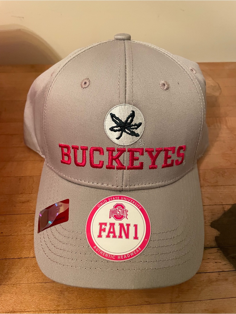 Ohio State Buckeyes Gray Fan Cap with Red Embroidery